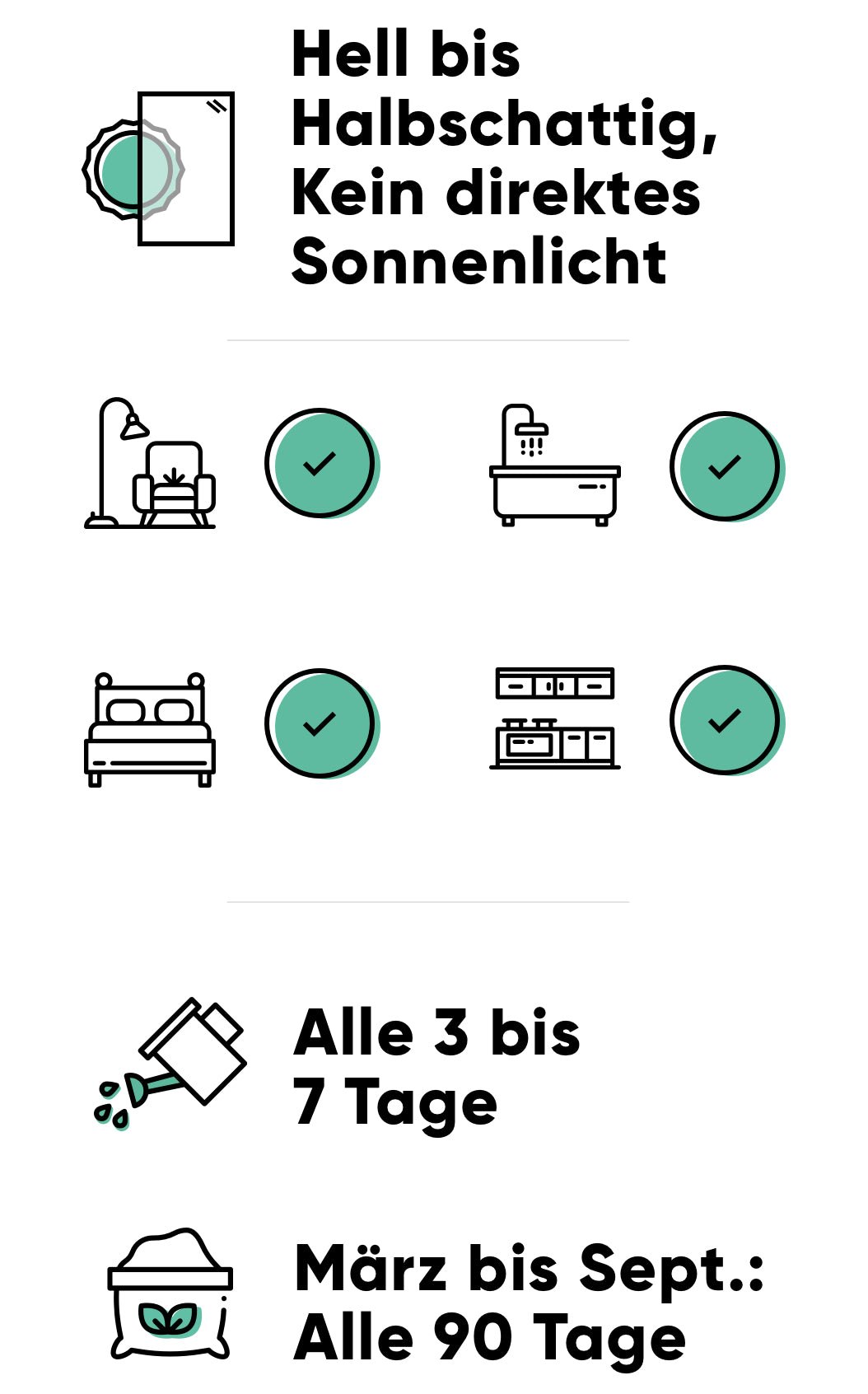 Pflege der Zebrapflanze: hell ohne direkte Sonne, alle 3-7 Tage giessen, im Frühling und Sommer alle 3 Monate düngen