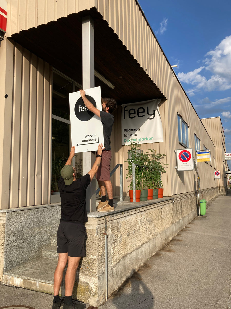 Severin und Janko hängen ein Plakat mit Wegweiser an den Pfosten vor dem feey-Hauptquartier