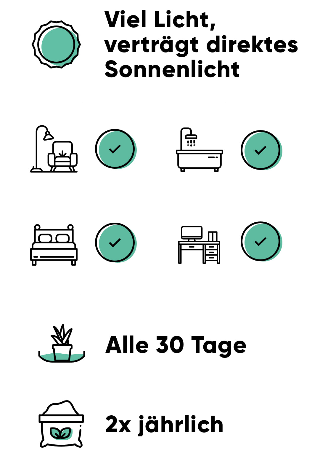 Pflege vom Kaktus und anderen Sukkulenten: hell und sonnig, alle 30 Tage wässern, 2x jährlich düngen