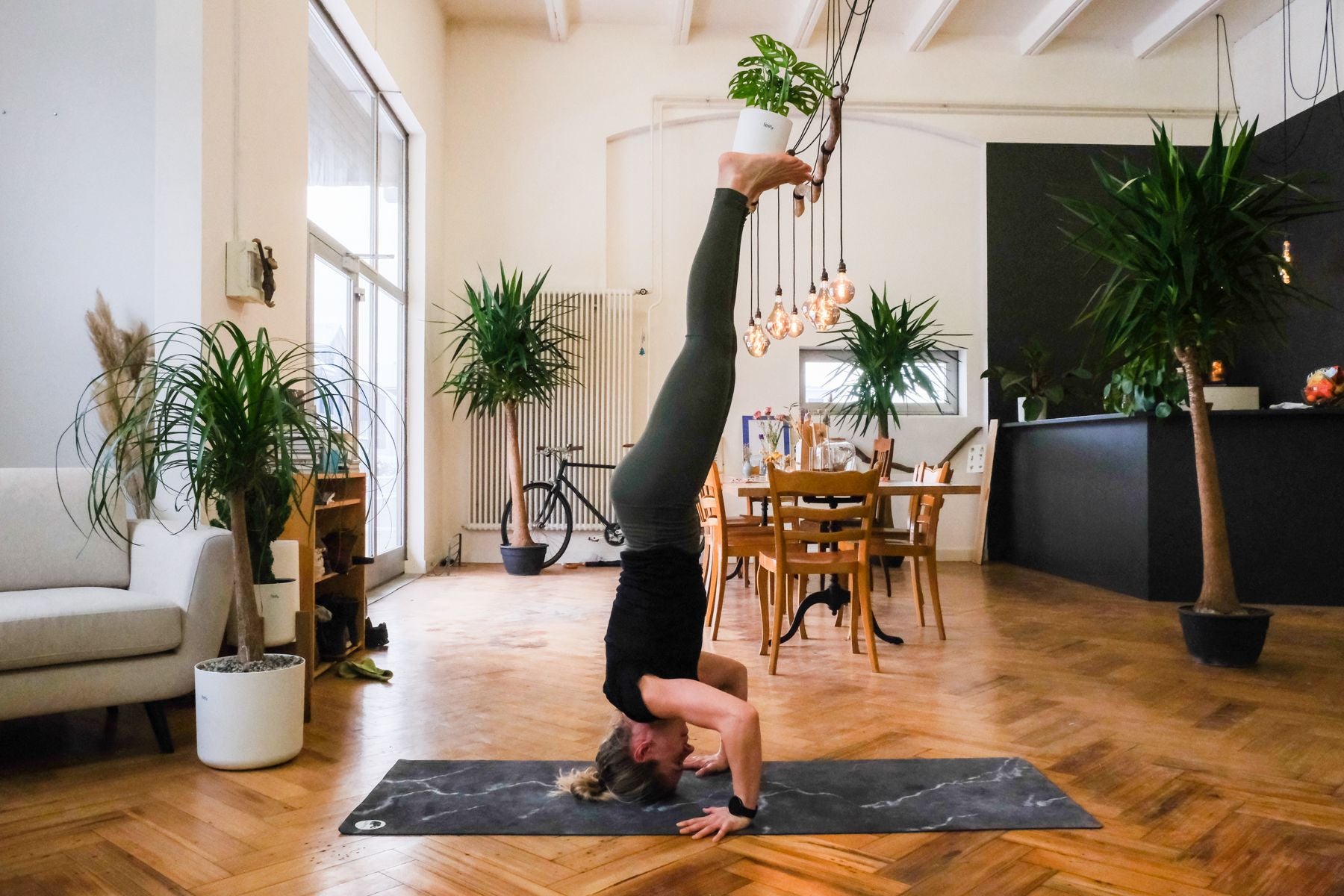 Plant-Yogi Hanna ist im Kopfstand, die feey-Pflanze steht auf ihren Füssen balancierend