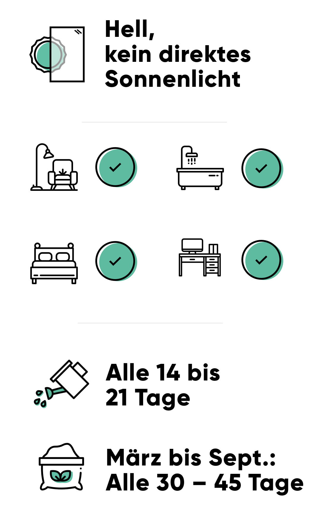 Pflege der Leuchterpflanze: hell ohne direkte Sonne, alle 14-21 Tage giessen, im Frühling und Sommer alle 30-45 Tage düngen