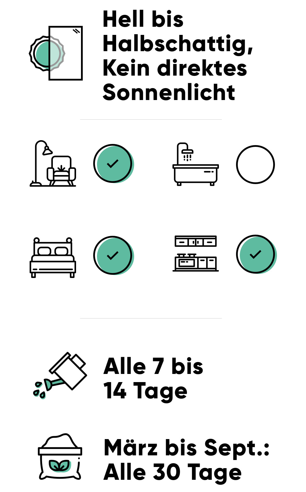 Pflege der Pilea: hell bis halbschattig ohne direktes Sonnenlicht, alle 7-14 Tage giessen, im Frühling und Sommer alle 30 Tage düngen, nicht ins Badezimmer stellen