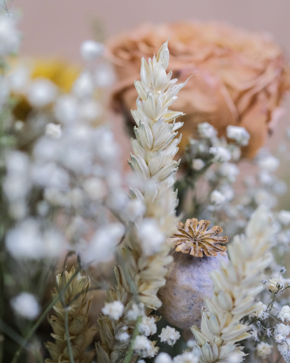 Trockenblumen-Strauss Prümavaira mit einer grossen orangen Blüte und einer kleineren blauen sowie trockenen Gräsern