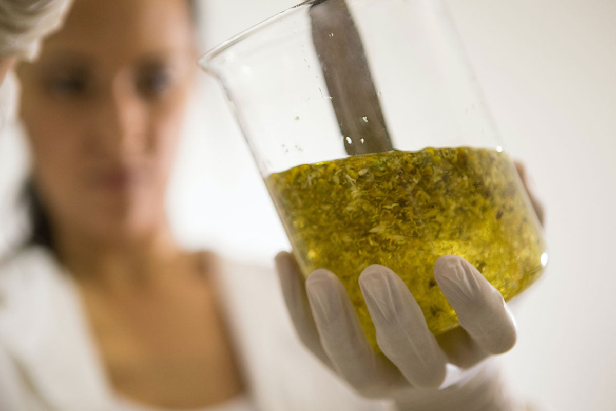 Dünger selber mischen: eine Frau im weissen Laborkittel mischt eine gelb-braune Flüssigkeit