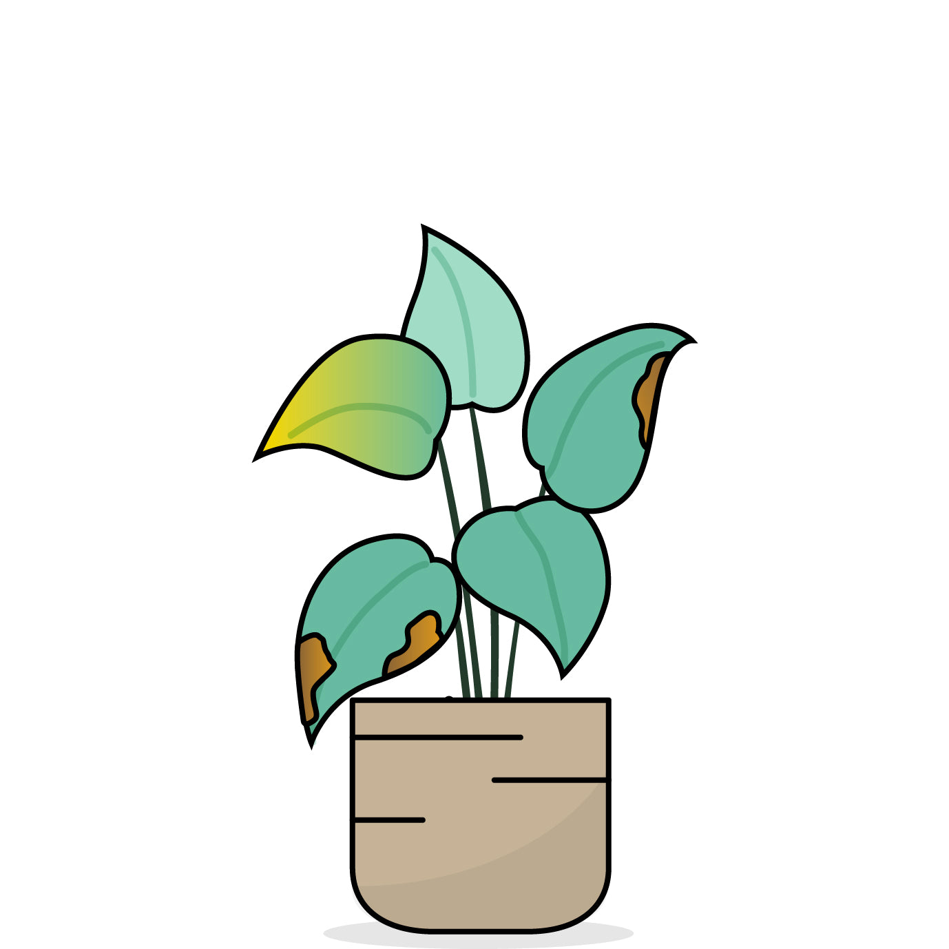Grafische Darstellung einer Pflanze mit gelben Blättern und braunen Flecken auf den Blättern