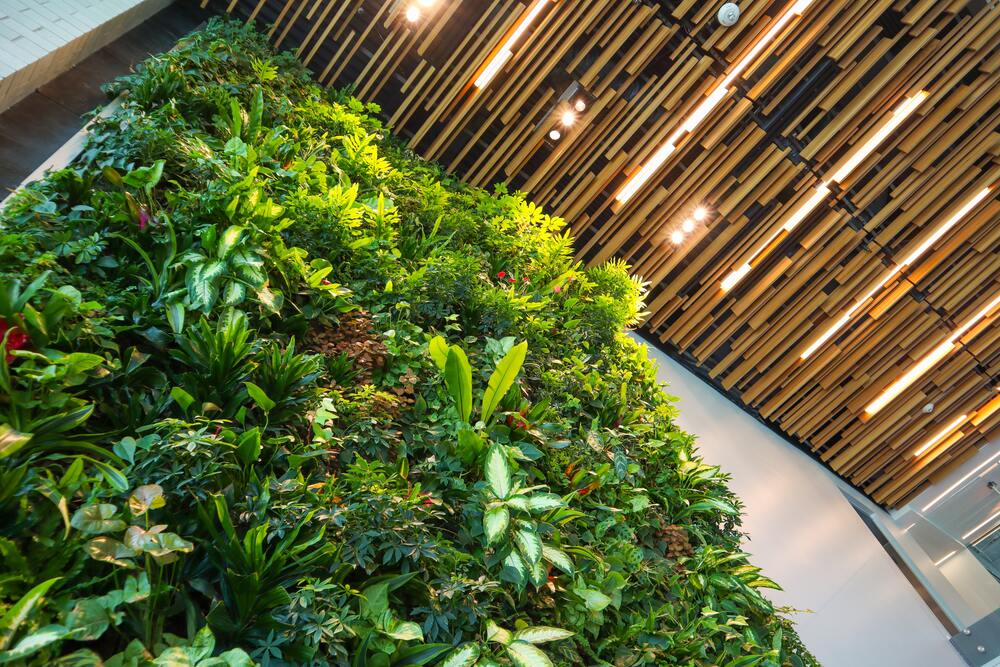 Mit verschiedensten Pflanzen zugewachsene Wand, darüber eine Decke mit Holz- und Beleuchtungselementen