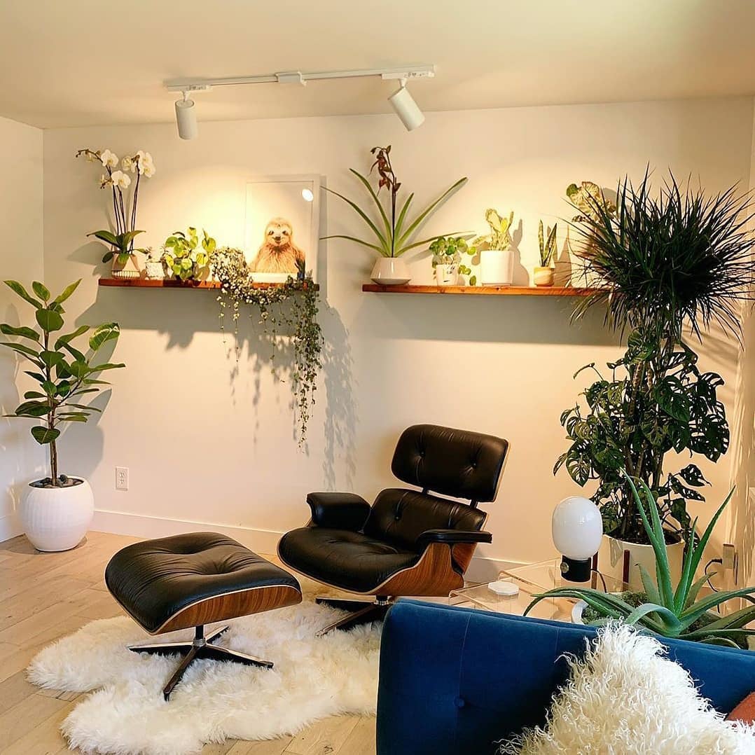 Wie Man Ein Wohnzimmer Plant