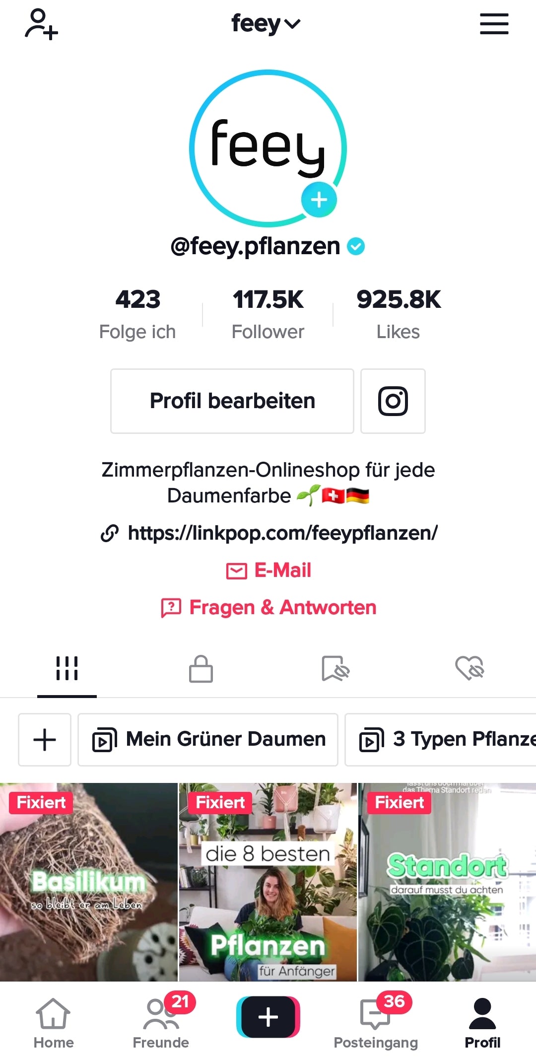 Screenshot des TikTok-Profils von feey