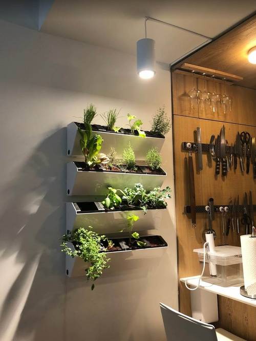 Regal mit Kräutern an Küchenwand beschienen von Pflanzenlampe