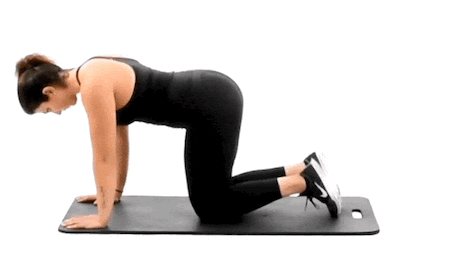 Cable Glute Kickbacks: A Complete Guide
