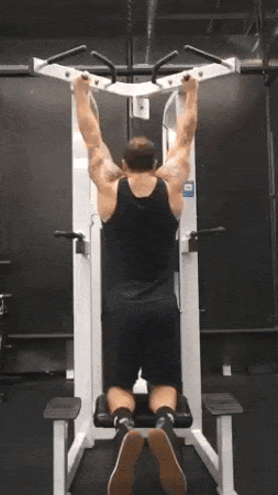 Pronated Pull Up Exercise Form and Benefits
