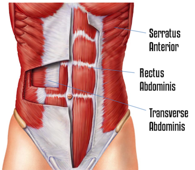 seated knee tucks exercise