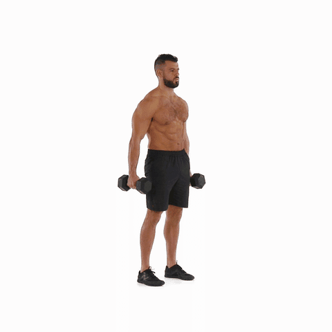5 Dumbbell Back Exercises at Home