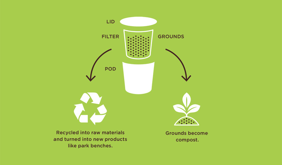 Don Francisco's Coffee Recycling Infographic