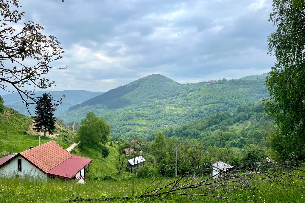 Have you heard of the Bosnian Pyramids?