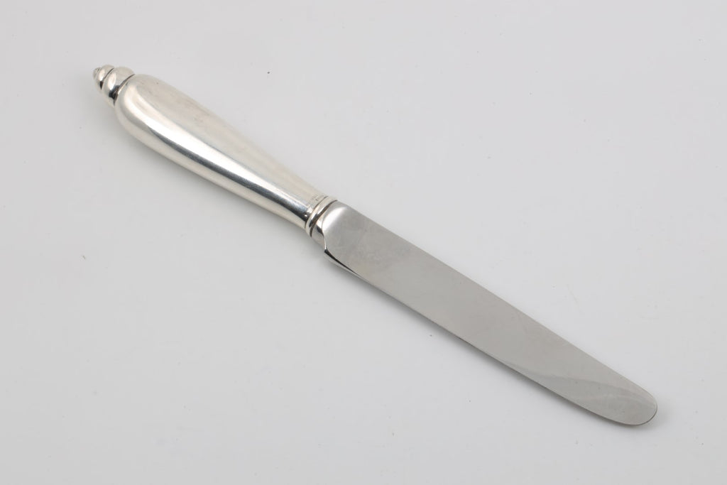 Antique Rostfrei Silver Table Knife