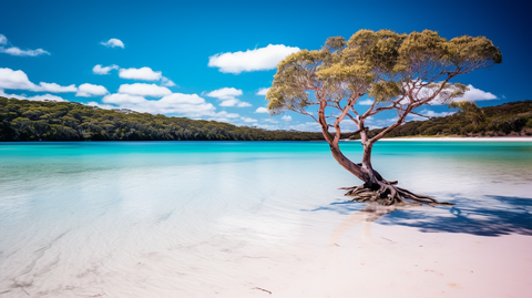 lake McEnzie Fraser Island