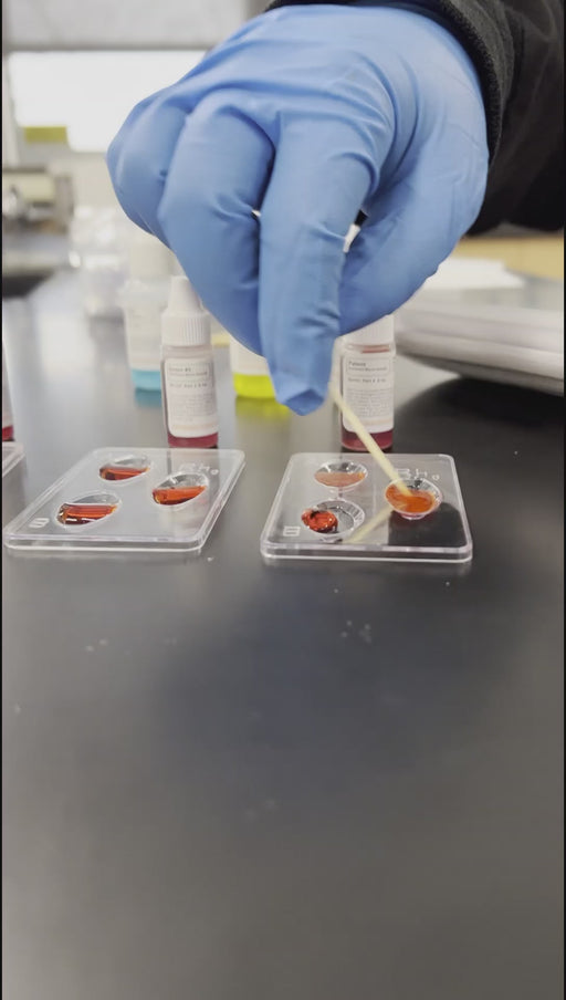 KS3-214 Blood Typing Kit (Saliva)