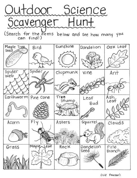 outdoor science scavenger hunt  free printable coloring