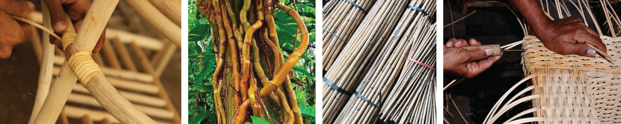 natural sustainable rattan