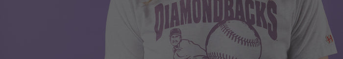 Arizona Diamondbacks Banner Image