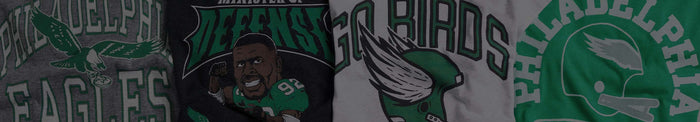 Philadelphia Eagles Banner Image
