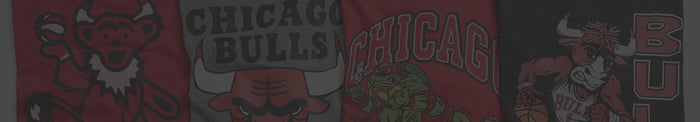 Chicago Bulls Banner Image