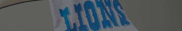 Detroit Lions Banner Image