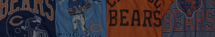 Chicago Bears Banner Image