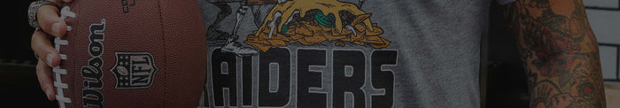 Las Vegas Raiders Banner Image