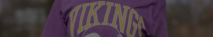 Minnesota Vikings Banner Image