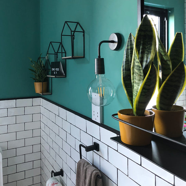 bathroom with plant pot on the shelf
