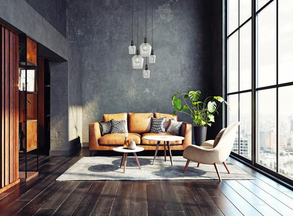 black living room with house plant