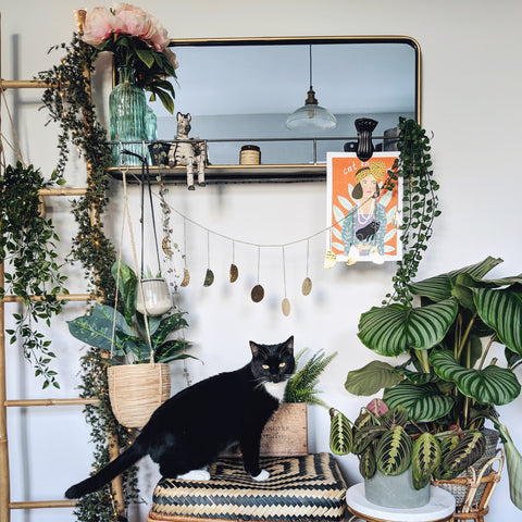 Lots of plants around a black cat in a maximalist interior design