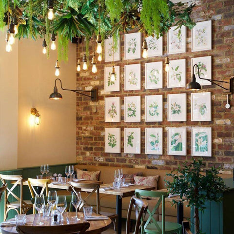 A restaurant with hanging plants and a feature wall