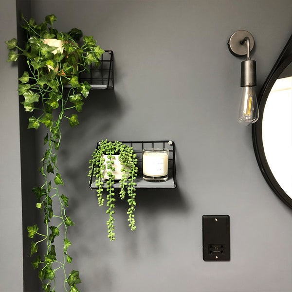 A modern bathroom with hanging plants