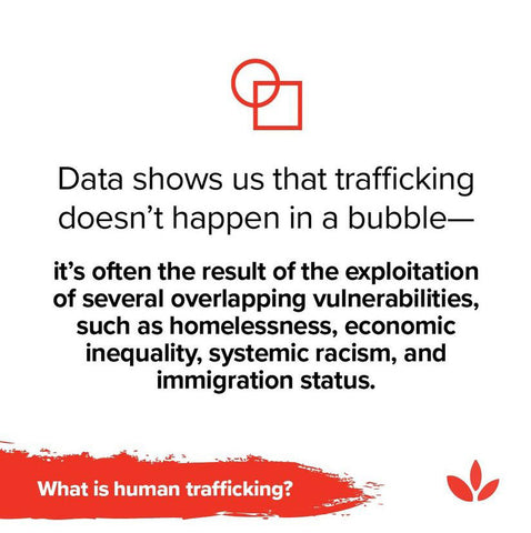 Data shows us that trafficking doesn't happen in a bubble. It's often a result of exploitation of several overlapping vulnerabilities, such as homelessness, economic inequality, systemic racism, and immigration status.