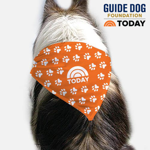 Download Today Pet Bandana Nbc Store