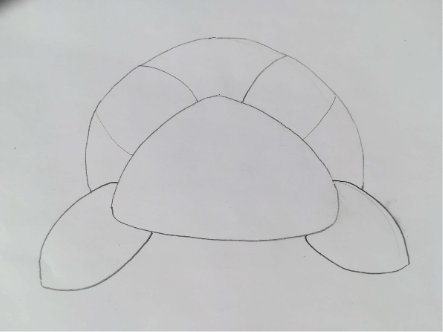 dessin carapace dos