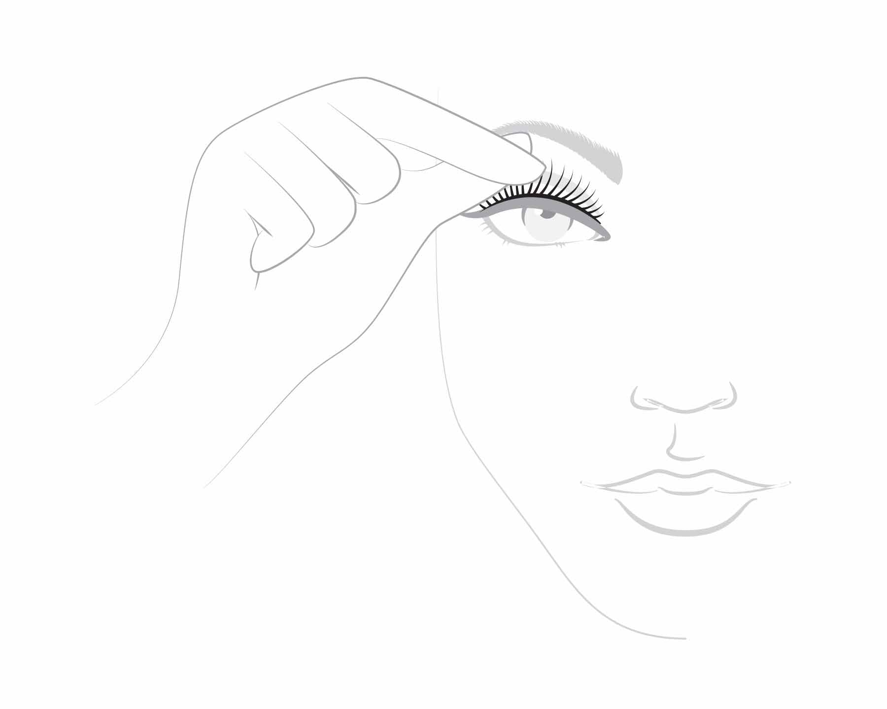 Adhere and hold to the base of your lash line