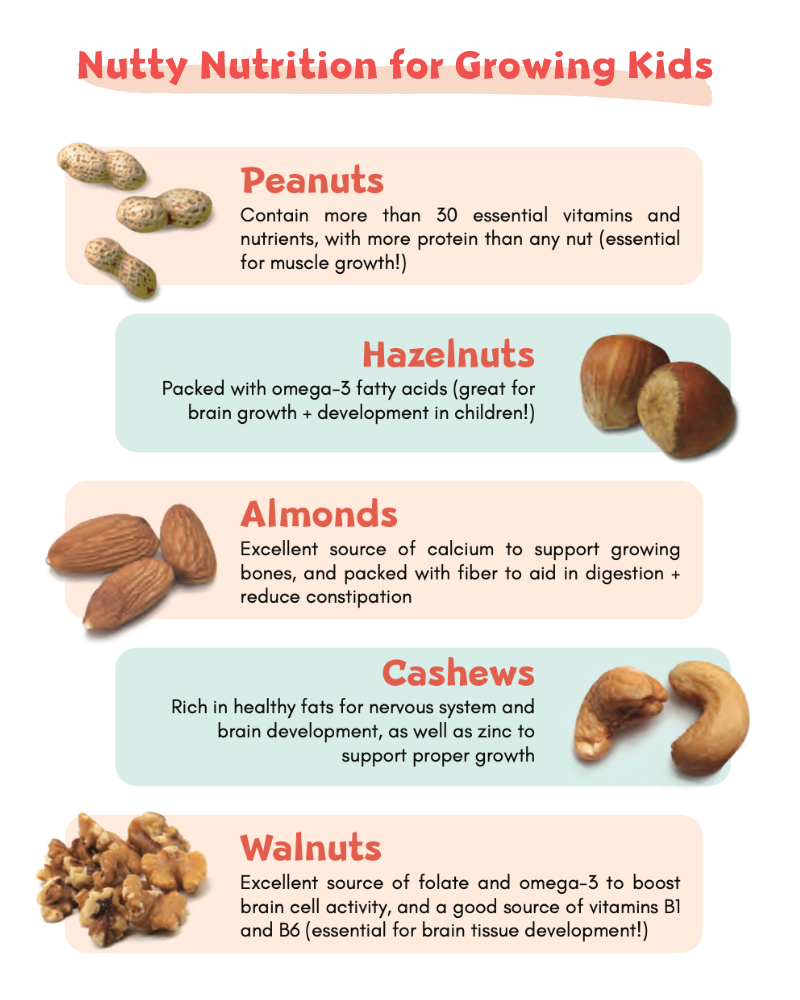 Health Benefits of Nuts for Kids