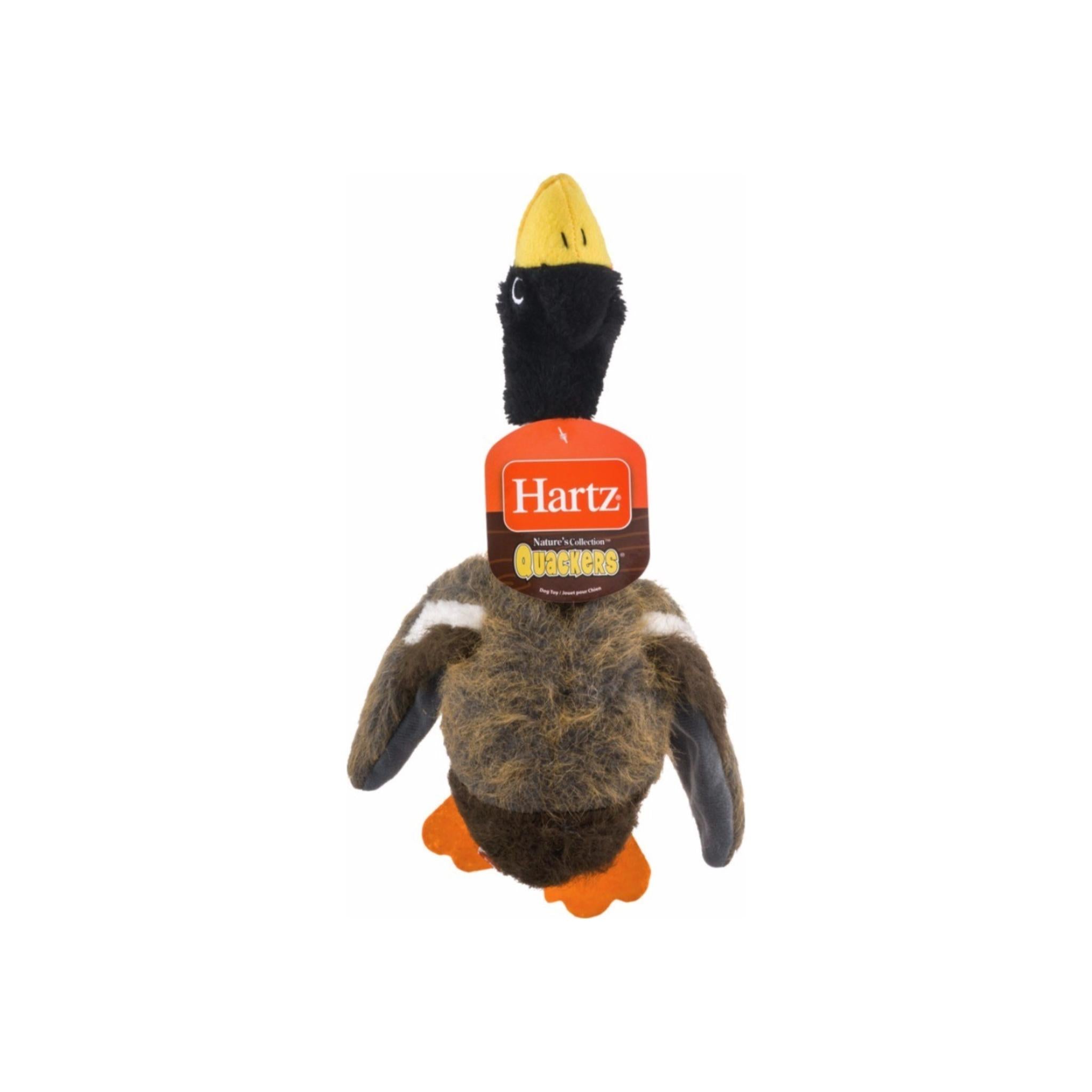 hartz duck dog toy