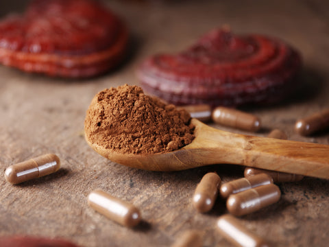 A wooden spoon containing a pile of reishi mushroom powder, capsules containing reishi mushroom powder are visible in the foreground and two reishi mushrooms are in the background