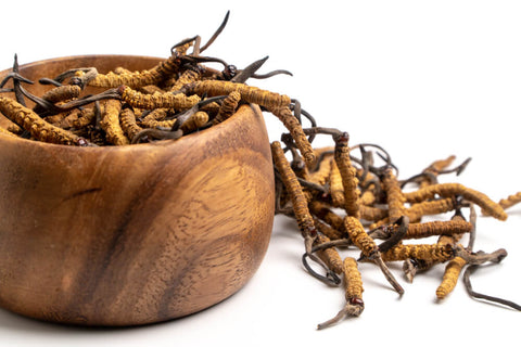 A wooden bowl overflowing with cordyceps mushroom