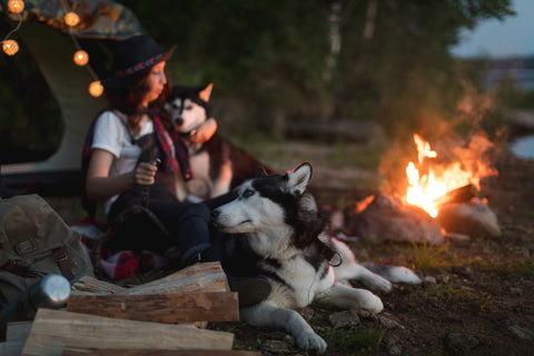 Woman with two huskies sitting at campfire