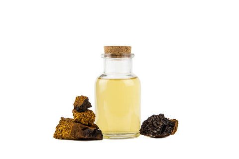 A white background with Chaga mushrooms, and a clear glass holding a Chaga tincture