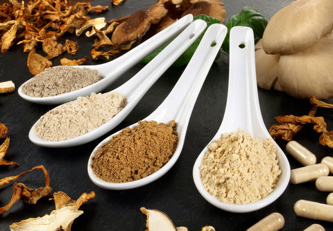 A line of four spoons containing maitake mushroom powder