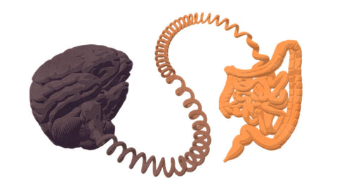 A cartoon drawing of the brain, connected by a cord, to the stomach