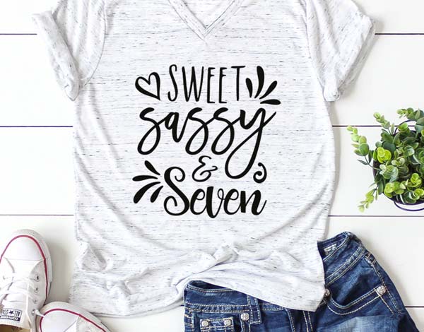 Download Sweet Sassy and Seven, Seventh Birthday SVG cut files for ...