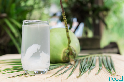 Coconut Water is great to rehydrate after vomiting during pregnancy